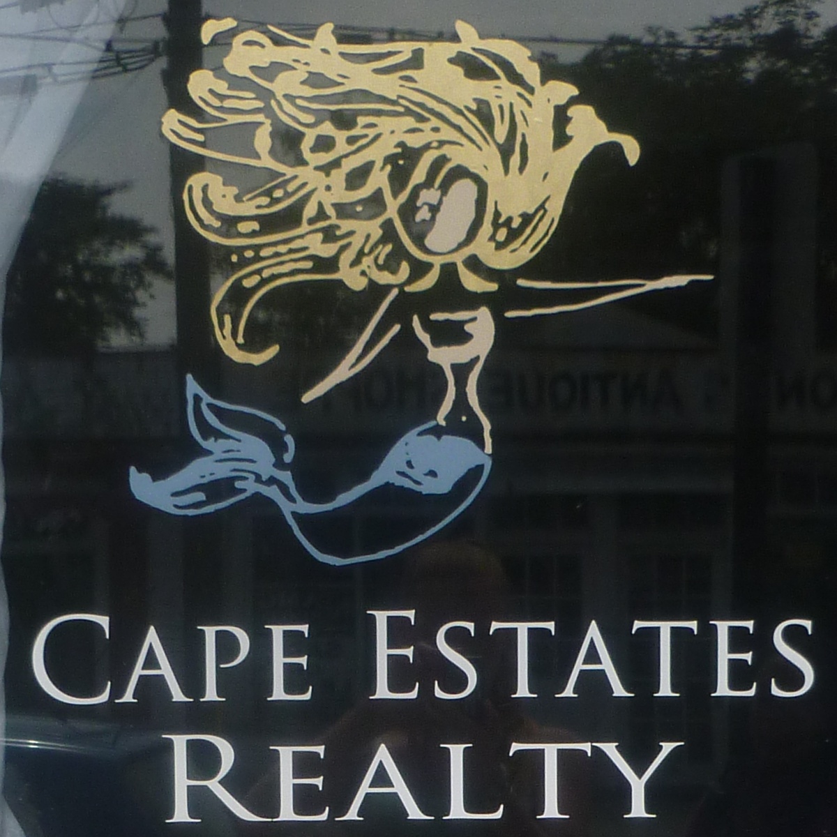 Cape Estates Realty
